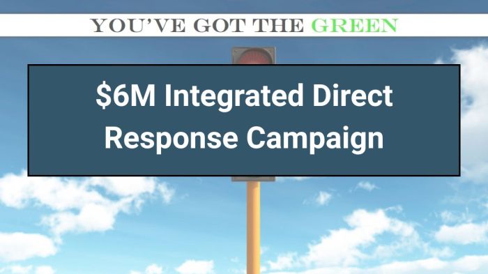 Campaign Strategy: $6M Revenue Initiative